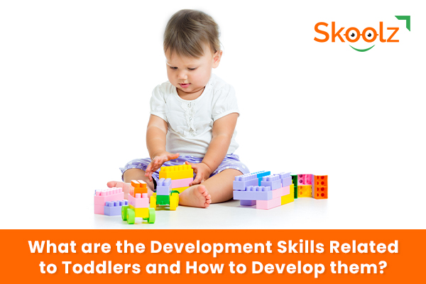 What are the Development Skills Related to Toddlers and How to Develop them