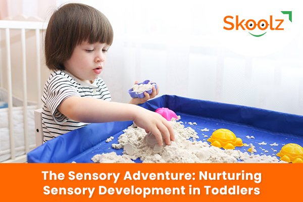 The Sensory Adventure: Nurturing Sensory Development in Toddlers